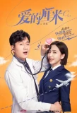 Poster for The Centimeter of Love