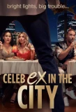 Poster for Celeb Ex in the City