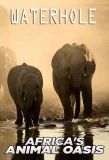 Poster for Waterhole: Africa's Animal Oasis