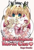Poster for Kamichama Karin
