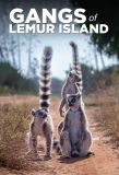 Poster for Gangs of Lemur Island