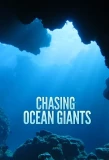 Poster for Chasing Ocean Giants