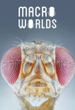 Poster for Macro Worlds
