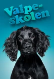 Poster for Valpeskolen