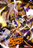 Poster for Shaman King