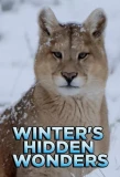 Poster for Winter's Hidden Wonders