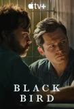 Poster for Black Bird