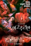 Poster for Girls High School Investigation Class