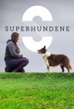 Poster for Superhundene