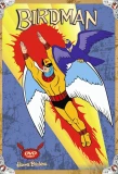 Poster for Birdman