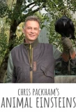 Poster for Chris Packham's Animal Einsteins