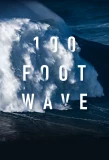 Poster for 100 Foot Wave