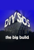 Poster for DIY SOS