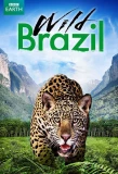 Poster for Wild Brazil