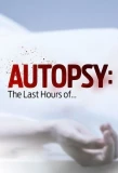 Poster for Autopsy: The Last Hours Of...
