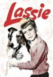 Poster for Lassie