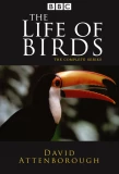 Poster for The Life of Birds