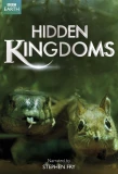 Poster for Hidden Kingdoms