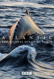 Poster for Atlantic: The Wildest Ocean on Earth