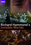Poster for Richard Hammond's Invisible Worlds