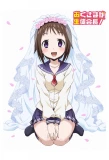 Poster for Okusama ga Seito Kaichou!