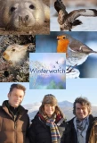 Poster for Winterwatch