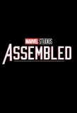 Poster for Marvel Studios: Assembled