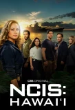 Poster for NCIS: Hawaiʻi