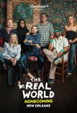 Poster for The Real World Homecoming