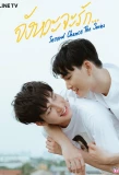 Poster for Second Chance The Series