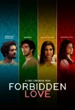 Poster for Forbidden Love