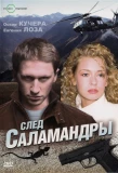 Poster for След саламандры