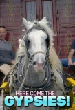 Poster for Here Come the Gypsies!