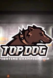 Poster for Top Dog Fighting Championship