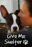 Poster for Give Me Shelter