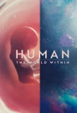 Poster for Human: The World Within
