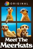 Poster for Meet the Meerkats
