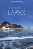 Poster for Secret Life of Lakes