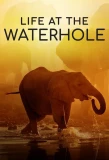 Poster for Life at the Waterhole