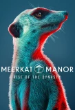 Poster for Meerkat Manor: Rise of the Dynasty