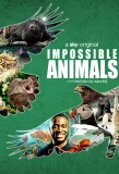 Poster for Impossible Animals
