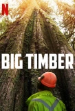 Poster for Big Timber