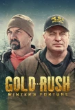 Poster for Gold Rush: Winter's Fortune
