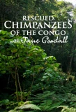 Poster for Rescued Chimpanzees of the Congo with Jane Goodall