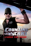 Poster for Counting Cars: Under the Hood