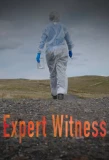 Poster for Expert Witness