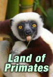 Poster for Land of Primates