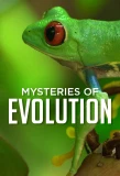Poster for Mysteries of Evolution