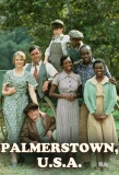 Poster for Palmerstown, U.S.A.