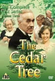 Poster for The Cedar Tree